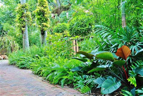 Lush Landscape And Garden Design Tropical Landscape Garden Design Miami