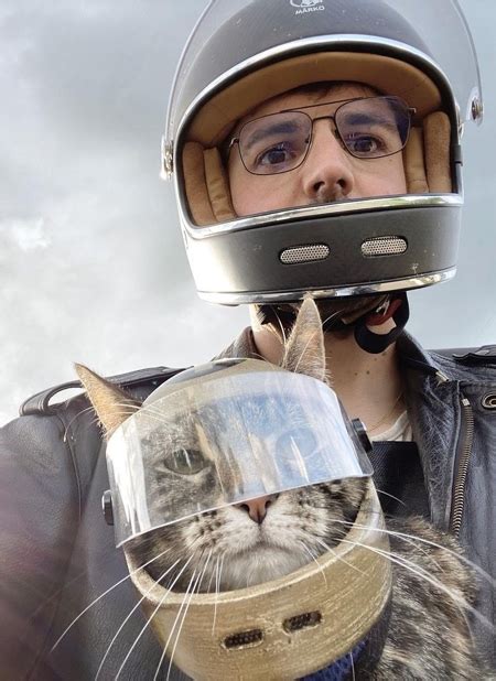 Motorcycle Helmets For Cats
