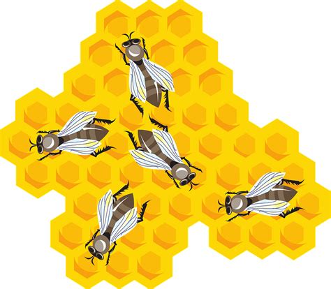 Beehive Honeycomb Clip Art Honeycomb Background Cliparts Png Download