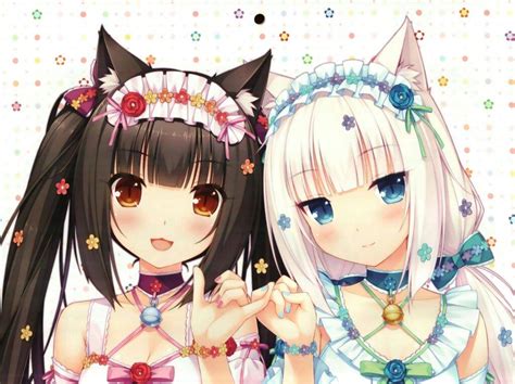 Catgirls ♡ ♡ Wiki Anime Amino