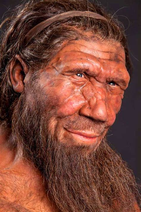 Neanderthals Left Humans Genetic Burden Scientists Say Genetics Sci News Com