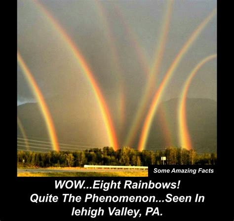 8 Rainbows Wtf Fun Facts Fun Facts Some Amazing Facts