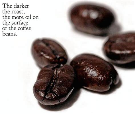 French roast is considered to be a double roast coffee. What Are the Differences between Light, Medium & Dark ...