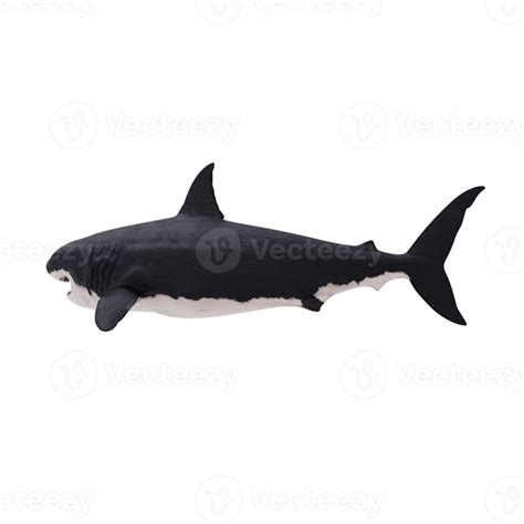 Free Great White Shark Isolated 18758947 Png With Transparent Background