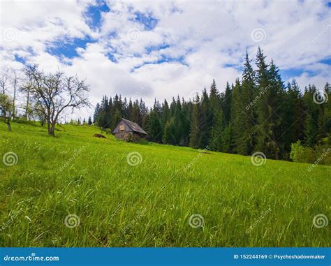 Wooden Cottage In The Mountains Sunny Spring Day With Green Grass