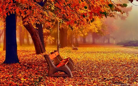 Autumn Fall Wallpapers Top Free Autumn Fall Backgrounds Wallpaperaccess