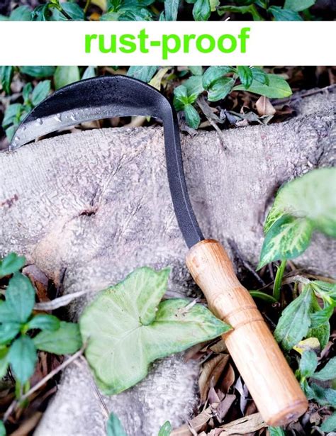 Japanese Weeding Sickle Hoe Review
