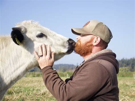 Holy cow! | Whidbey News-Times