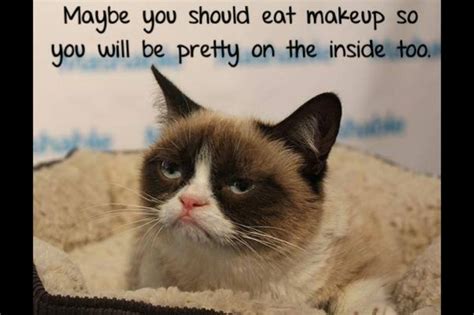 52 Best Images About Best Of Grumpy Cat On Pinterest