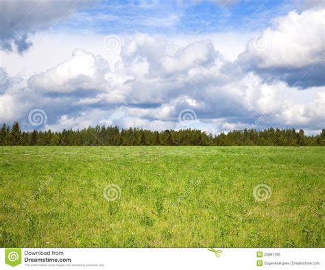Cloudy Sky Over Bright Green Meadow Stock Image Image Of Blossom