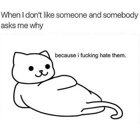 when i dont like someone and somebody asks me why because i fucking hate them