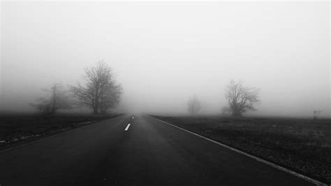 Wallpaper Trees Road Morning Mist Atmosphere Highway Haze Fog