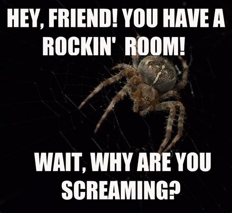 scary spider meme