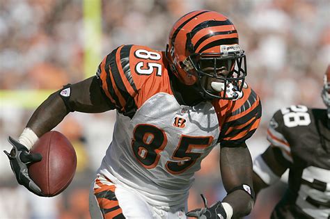 Cincinnati Bengals 15 Greatest Wide Receivers Of All Time Page 16