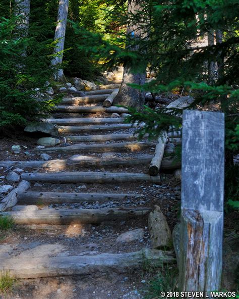 Acadia National Park Flying Mountain Trail Loop Hike Bringing You