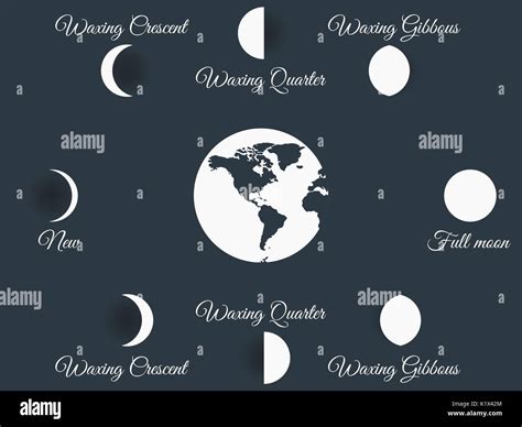 The Phases Of The Moon The Whole Cycle From New Moon To Full Vector