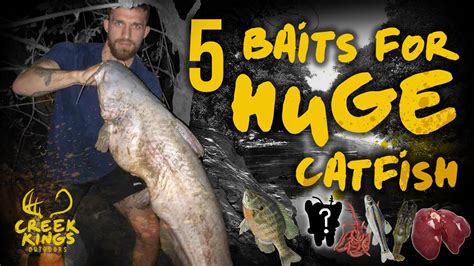 Top 5 Baits That Catch Huge Catfish Youtube
