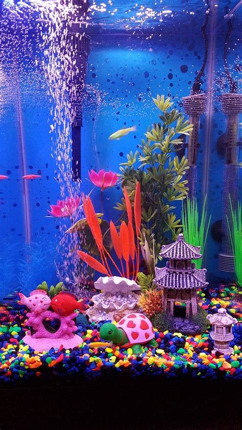 My New Aquarium With Glo Fish Fish Tank Decorations Fish Tank Themes
