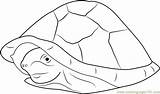 Razor Template Coloring Musk Turtles Templates sketch template