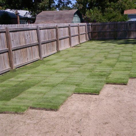 Zeon Zoysia 504 Sq Ft Atlanta Sod Company