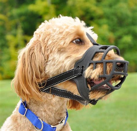Dog Muzzlesoft Basket Silicone Muzzles For Dog Best To Prevent Biting