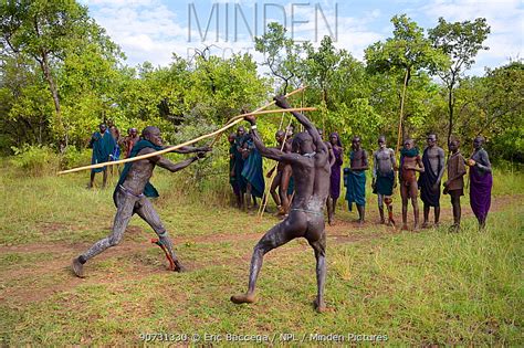 minden pictures donga stick fighters suri surma tribe the donga fights are an outlet to