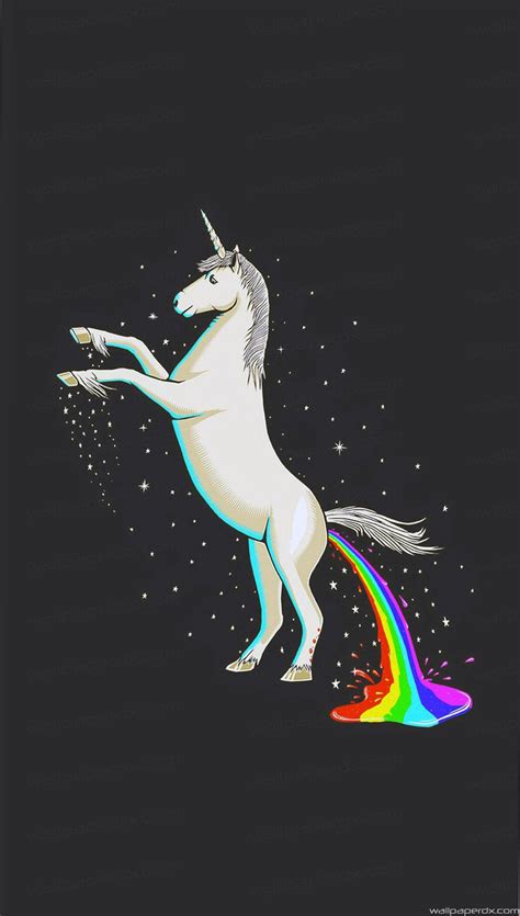 Funny Unicorn Wallpapers Funny Png