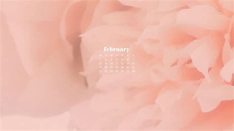 February Aesthetic Background The Loveliest February Designs