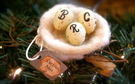 Bird nest ornament Personalized ornament Felted wool ornament clip on ornament Custom ornament ...