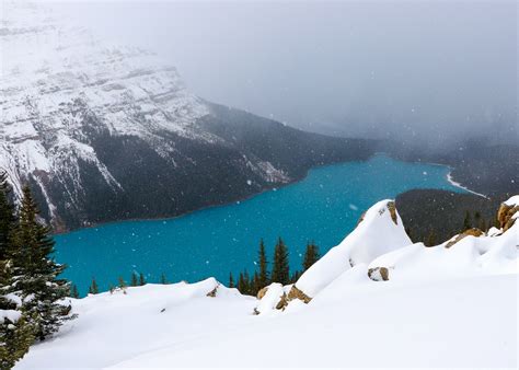 Winter Hiking To Peyto Lake Lookout Alberta Travel Ideas