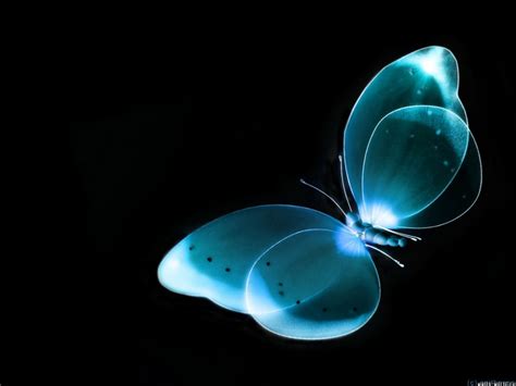 Download the free graphic resources in the form of png, eps, ai or psd. Visual Effect Blue Butterfly - HD Wallpapers
