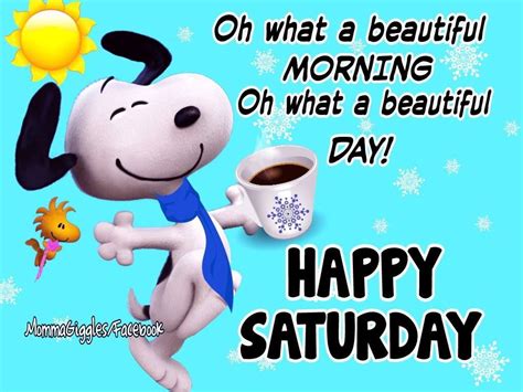 Happy Saturday Its A Beautiful Day Seasons Days Months Saturday