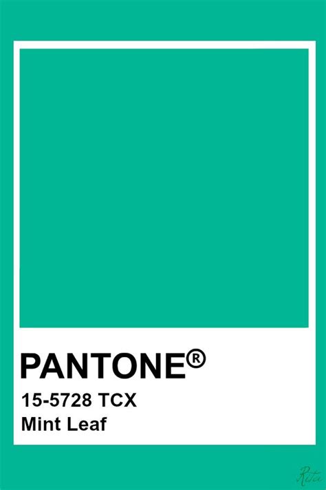 Pantone Mint Leaf Pantone Color Pantone Colour Palettes Pantone Tcx