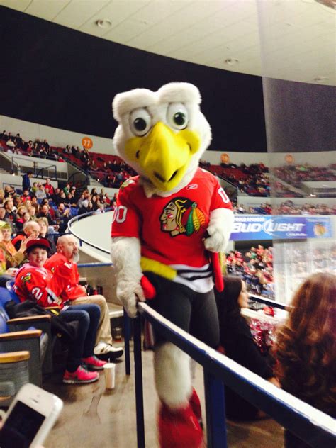 Tom A Hawk Portland Winterhawks Sports Fan Portland Love Bugs