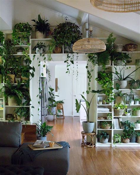 That Room Filled With Plants Looks So Wonderful Who Wants To Live Here