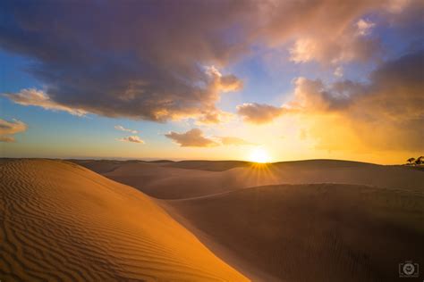 Sunset in Desert Background - High-quality Free Backgrounds