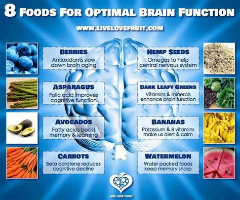 Brain Food Brain Healthy Foods Healthy Brain Brain Food