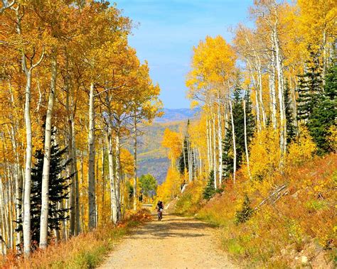 The 15 Best Things To Do In Steamboat Springs 2023 With Photos