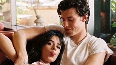 The 5 Cutest Moments Of Camila Cabello And Shawn Mendes Yaay Celebrities