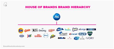 What Is Brand Hierarchy 5 Best Types Structures And Examples