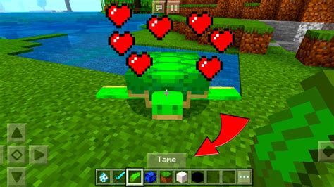 How To Tame A Turtle In Minecraft Pocket Edition Youtube
