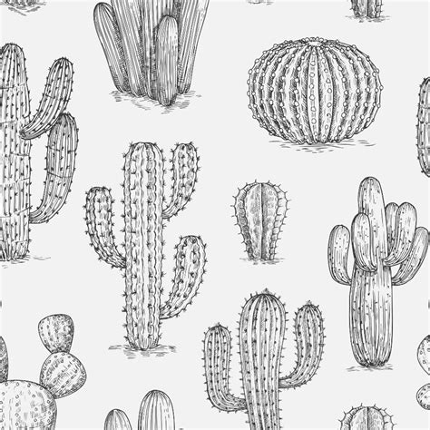 Cactus Wallpaper Peel And Stick Free Shipping To Us The Wallberry