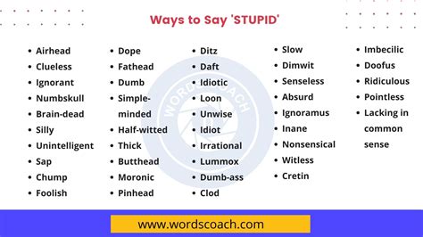40 Ways To Say Stupid In English Word Coach