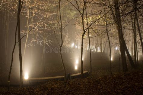 Night Fog On Pekhork River Embankment Stock Image Image Of November