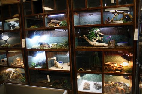 We allow pet stores and brokers access to rock bottom wholesale prices 24 hours a day. Zoo Keeper Exotic Pets | Free Fun in Austin
