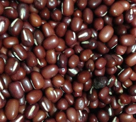 buy adzuki beans beans legumes micks nuts
