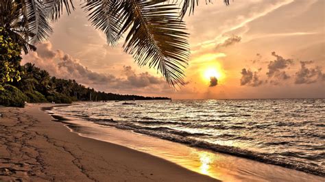 Sunset On A Tropical Beach Hd Desktop Wallpaper Widescreen High Definition Fullscreen