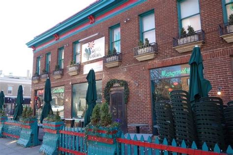 Последние твиты от cactus cantina (@dccactuscantina). Cactus Cantina Food - Picture of Cactus Cantina ...