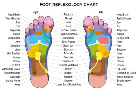 Acupressure And Reflexology For Diabetes