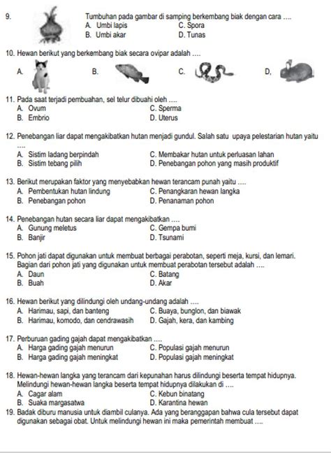 Soal Bahasa Indonesia Kelas 11 Semester 2 Dan Kunci Jawaban - Bali Teacher